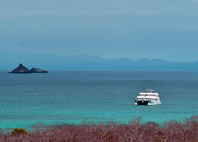 alya cruise activities and itineraries