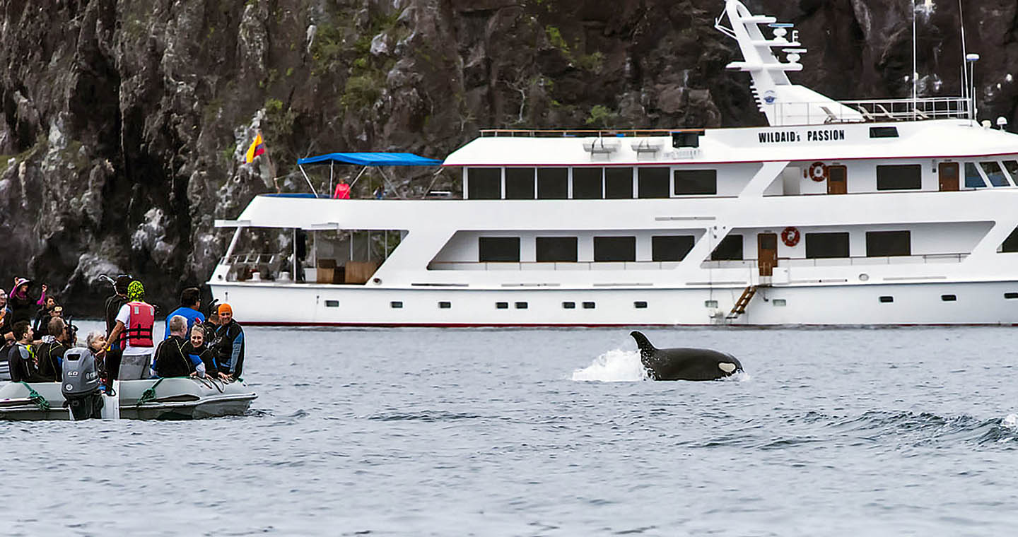 Galapagos fund wildaid Passion