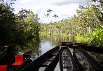 best weather in the ecuadorian amazon