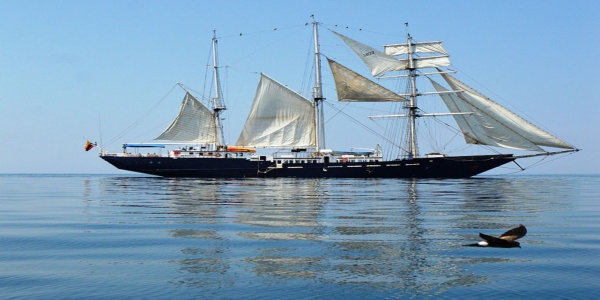 Mary Anne Galapagos sailboat