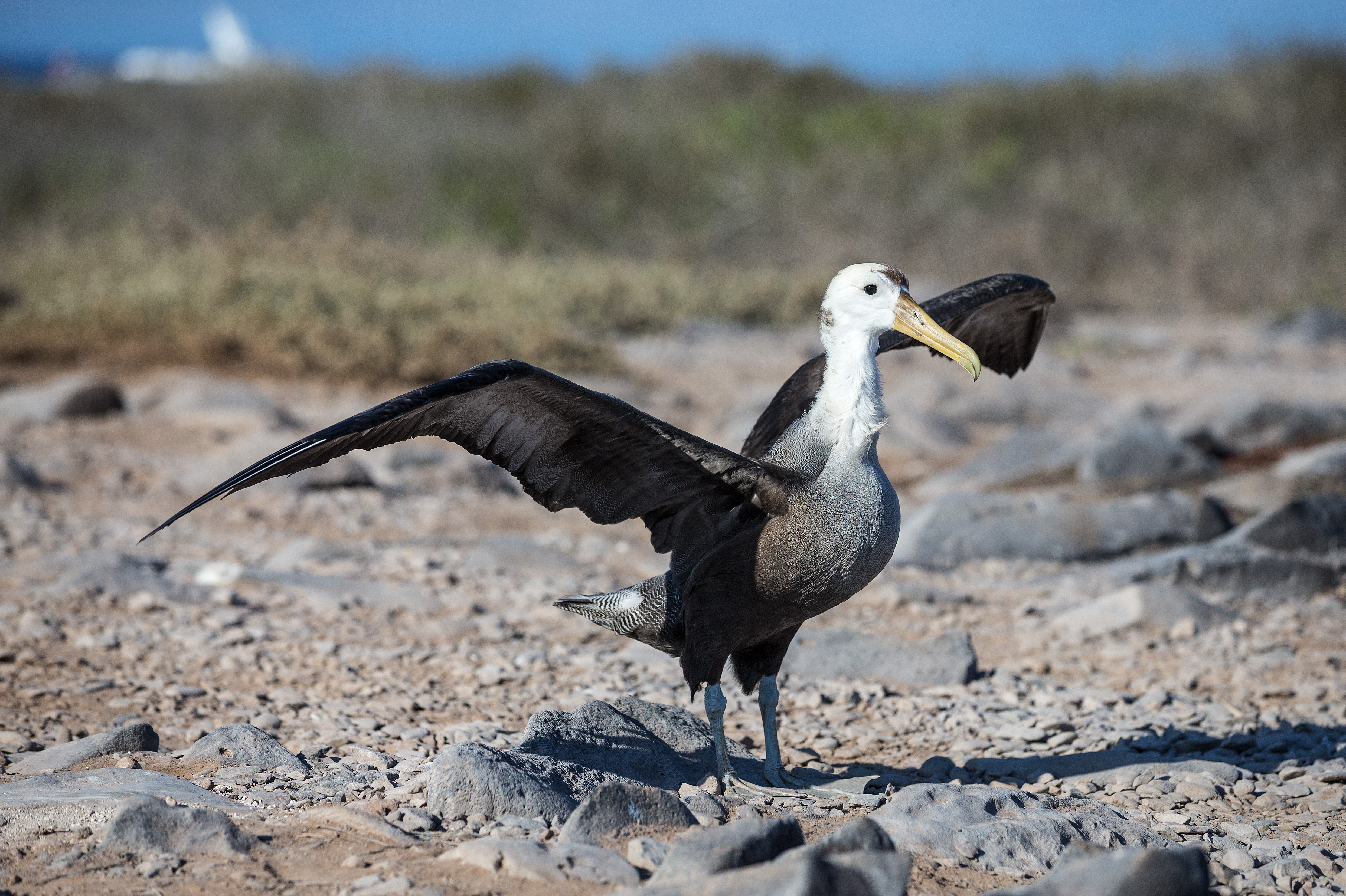andando tours galapagos cruises availability