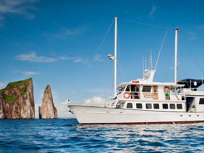 budget cruises Galapagos Golondrina