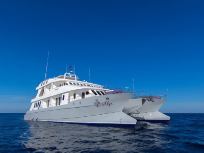 galapagos cruise options