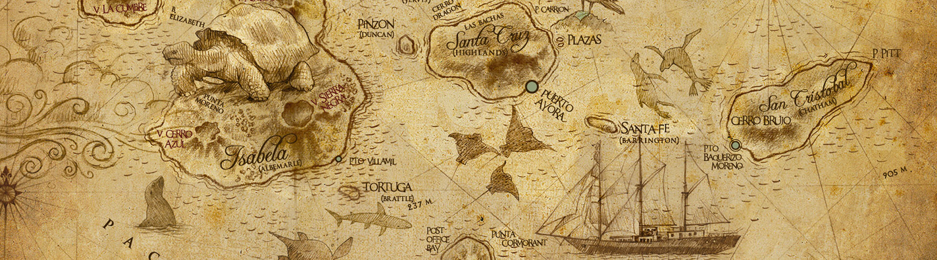 galapagos sitemap banner