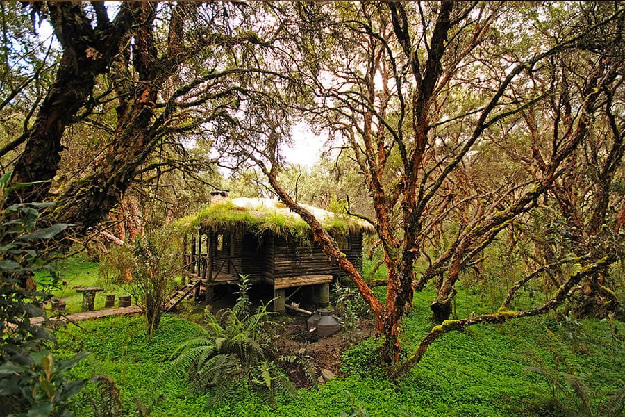 Ecuador the magical north