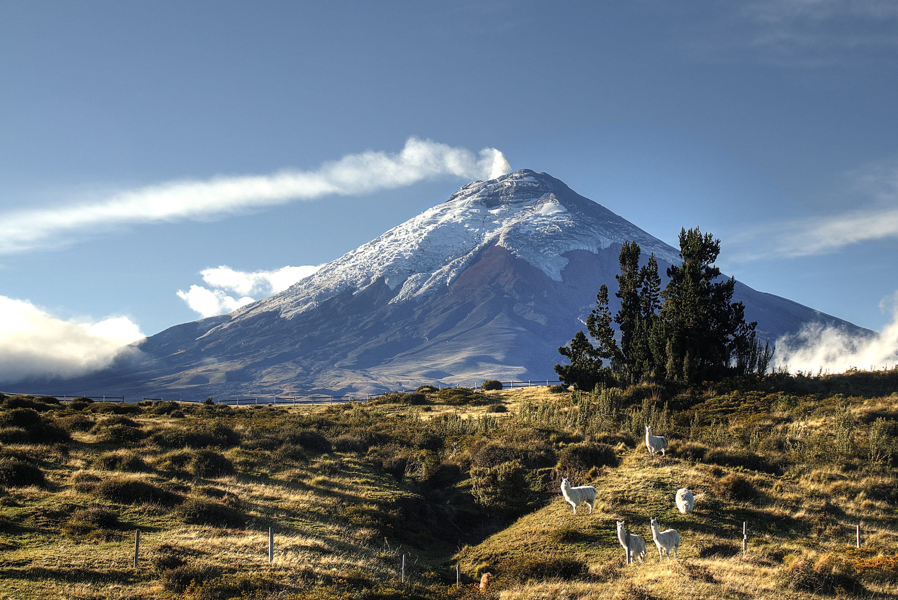 Ecuador central and highlands