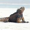 galapagos island day trips