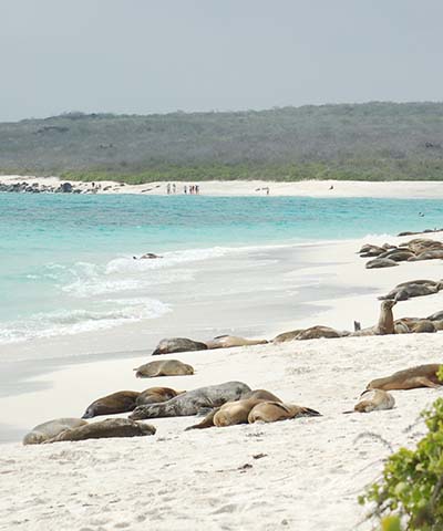Galapados landscapes Gardner Bay