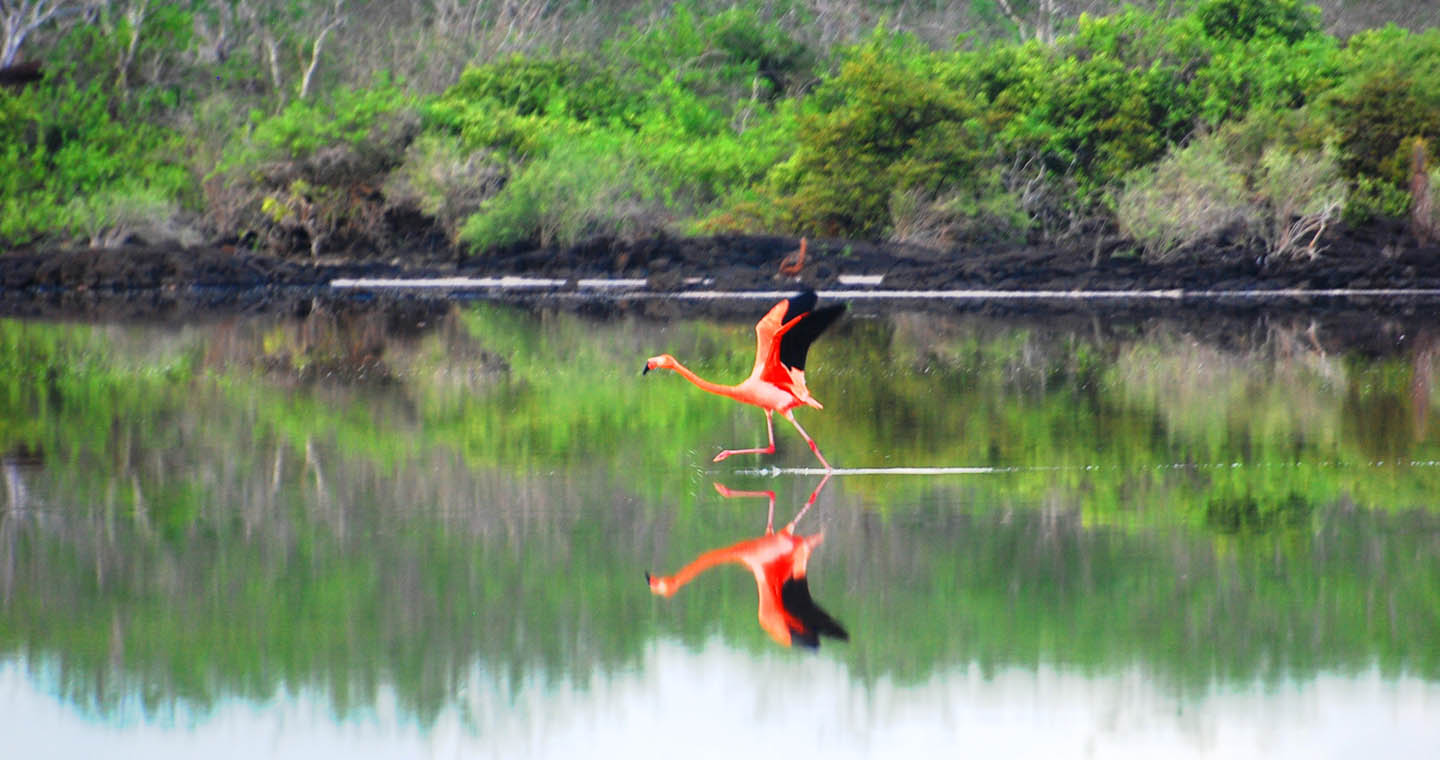 Galapagos National Park