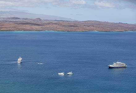Galapagos tips choosing a cruise
