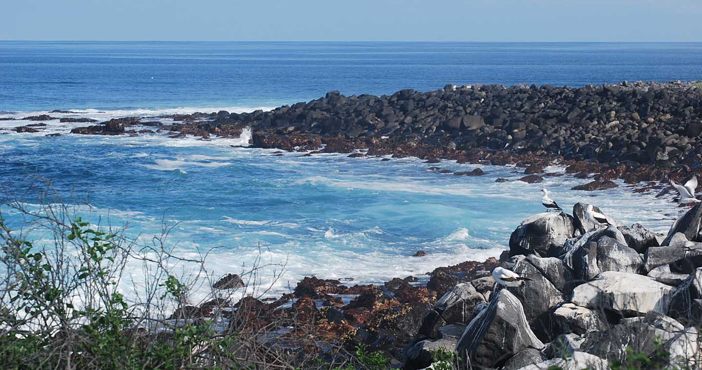 Galapagos travel information